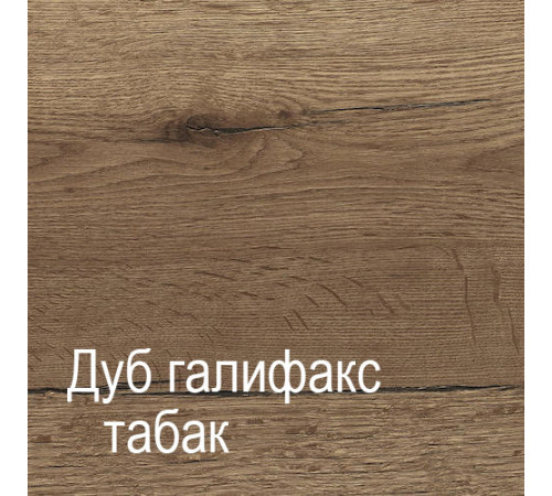 Двухстворчатый шкаф-купе для одежды Г-13 (ДГТ) Гарда с зеркалом